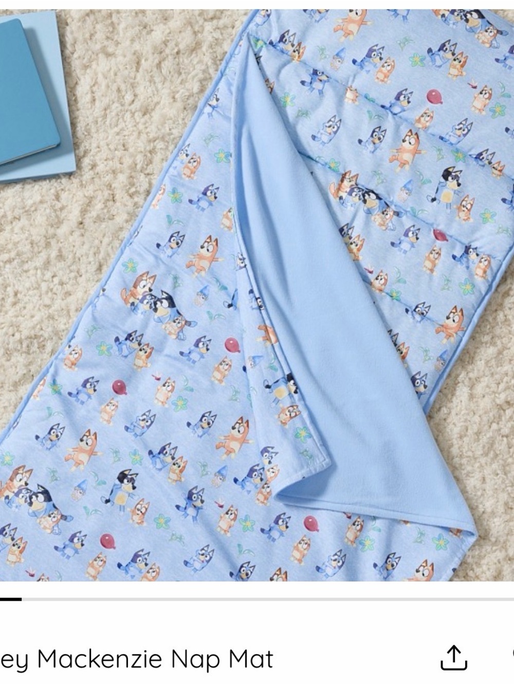Pottery Barn Kids Bluey Print Nap Mat